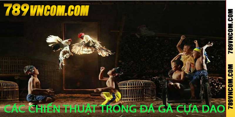 Đá Ga Cựa Dao